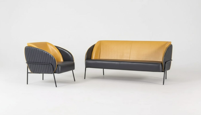 Nowoczesny luksusowy zestaw wypoczynkowy dwumiejscowy Fotel Study Design Meble 2+1