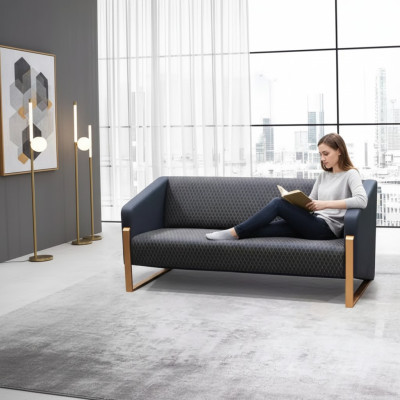 Sofa 2 miejsce do siedzenia Luksusowe Meble Kanapa Nowoczesne Designerskie Meble Biurowe