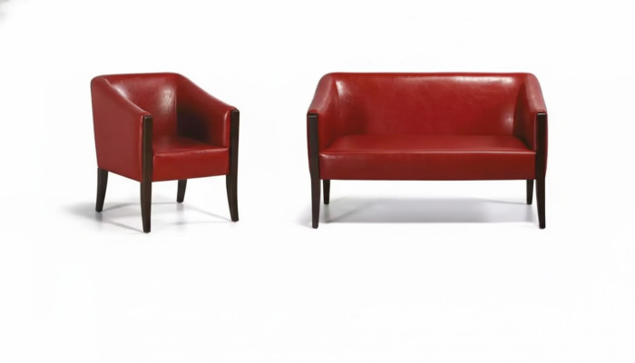 Czerwony Zestaw sofowy Dwumiejscowy nowoczesny Fotel Designer Podkładka Luksusowy zestaw