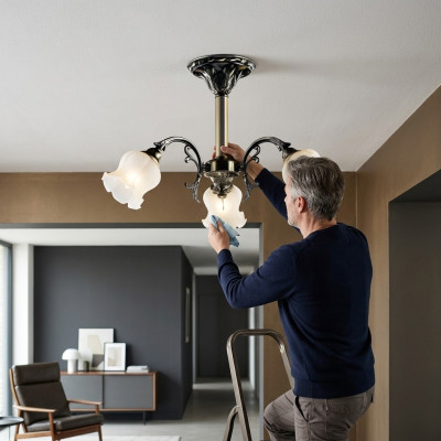 Żyrandol sufitowy kwiaty żyrandol żyrandol Lampa sufitowa Lampa Szkło Szare