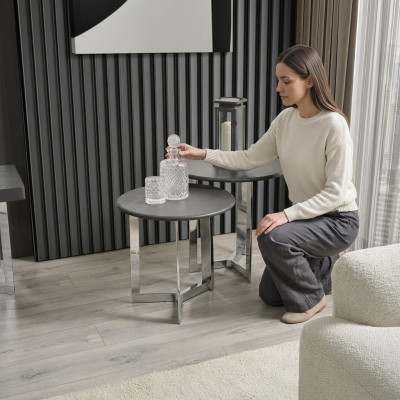 Grupa Stolik Tabela stolik kawowy Living Room Stal nierdzewna Zestaw Silver