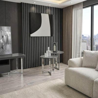 Grupa Stolik Tabela stolik kawowy Living Room Stal nierdzewna Zestaw Silver