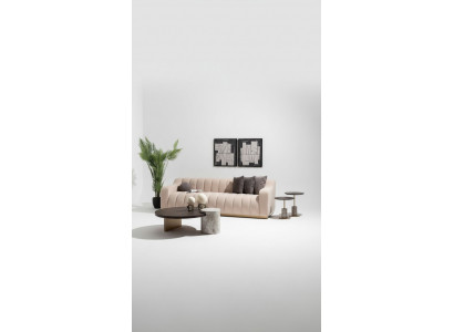 Ustawić salon trzyosobowy Stoliki do kawy 4-częściowa sofa materiałowa beż Drewno