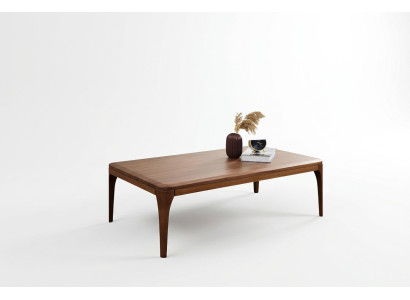 stolik kawowy stolik kawowy sofa stolik salon Stolik Drewno brązowy