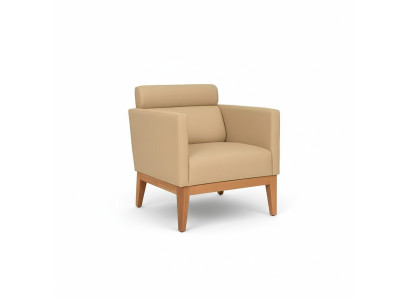 Beiger ClubFotel Relaks 1-miejsce siedzące Designer Fotel Living Room miejsce siedzące