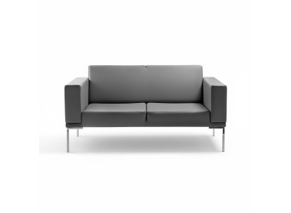 Szara styl biurowy 2-miejsce siedzeniae designerska sofa tapicerowana sztuczna skóra kanapy 2-osobowe