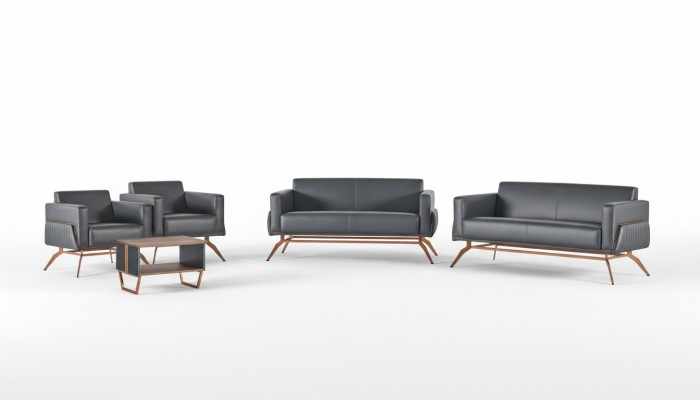Zestaw mebli do biura 5-elementowy 2x dwuosobowa sofa 2x fotel stolik kawowy Szary Jednokolorowy