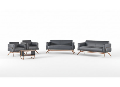 Zestaw mebli do biura 5-elementowy 2x dwuosobowa sofa 2x fotel stolik kawowy Szary Jednokolorowy