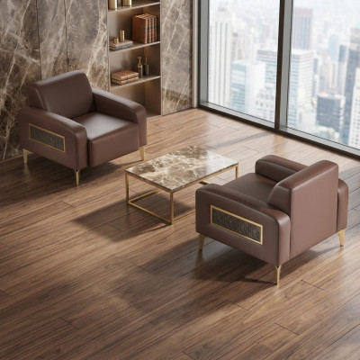 Zestaw do pokoju pracy 2-częściowy Fotel Brązowy Gładki Modernistyczny Design Salon