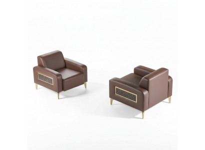 Zestaw do pokoju pracy 2-częściowy Fotel Brązowy Gładki Modernistyczny Design Salon