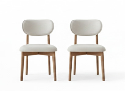 2 stilvolle Stühle im modernen Design für Esszimmer
