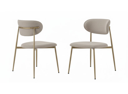 2 stilvolle Stühle im modernen Design für Esszimmer