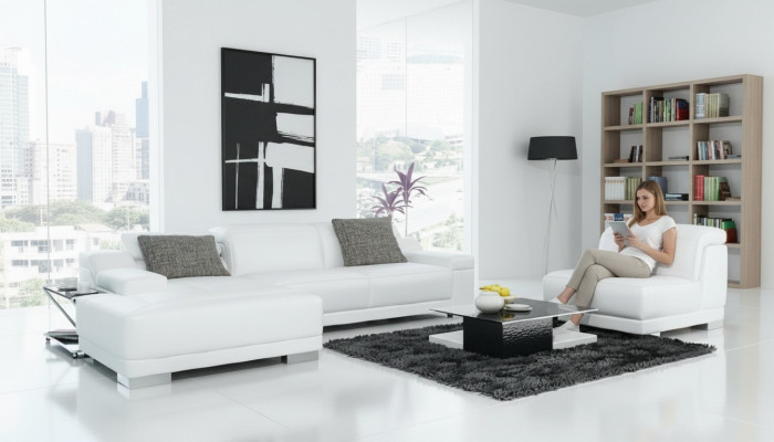 Żywy krajobraz Podkładka Narożnik Narożnik Sofa Kanapa Ustaw Landscape Skóra Nowy / 2711B