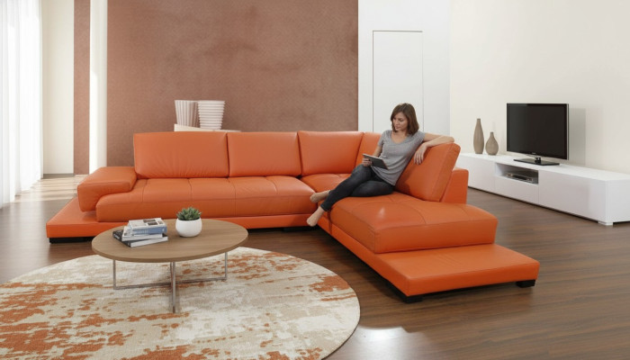 Żywy krajobraz Podkładka Narożnik Narożnik Sofa Couch Ustawić Landscape Skóra Nowy 1060