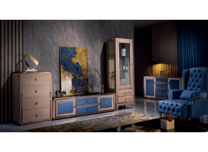Kommode Vitrine Kommoden Vitrinen Kommodenschrank Glas Designer Schrank NEU
