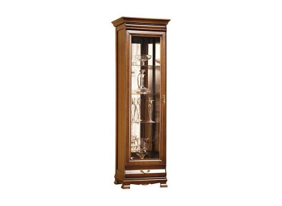Vitrine Schaukasten Glasvitrine Glasschrank Schrankvitrine Vitrinenschrank